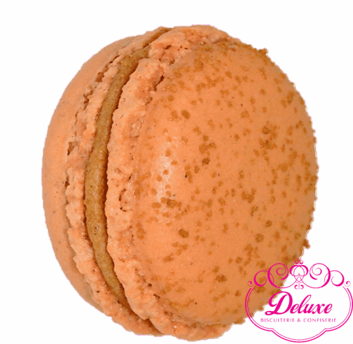 Macaron Amande & Graines de Sésame – Subtilité Croquante & Douceur Nuttée