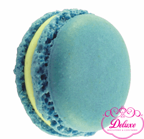Macaron Chocolat Blanc – Douceur Laitée & Élégance Sucrée
