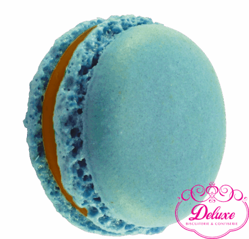 Macaron chocolat coco – Deluxe Macaron