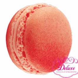 Macaron à l’Eau de Rose – Délicatesse Florale & Finesse Artisanale
