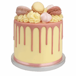 gâteau d’anniversaire drip cake rose avec macarons et meringues